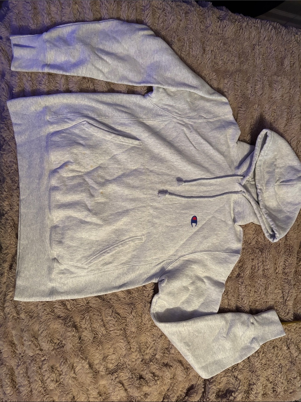 Champion Light Gray Pullover Hoodie with Small Logo
